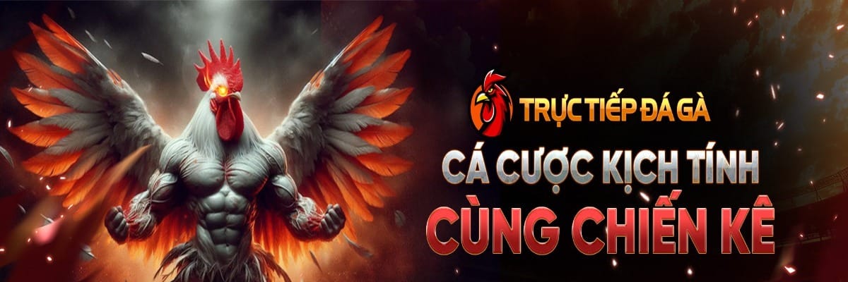 ĐÁ GÀ TRỰC TIẾP Đá Gà Trực Tiếp Thomo