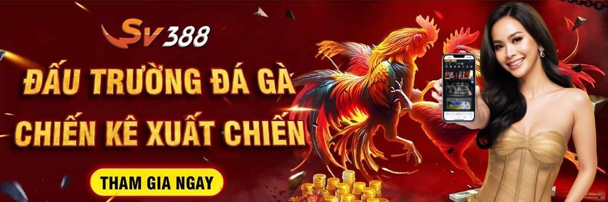 sv388 sân chơi đá gà trực tuyến hàng đầu