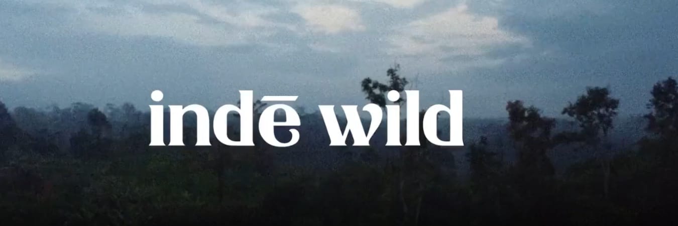 Inde Wild
