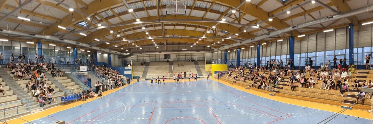 Saint Michel Sports HANDBALL