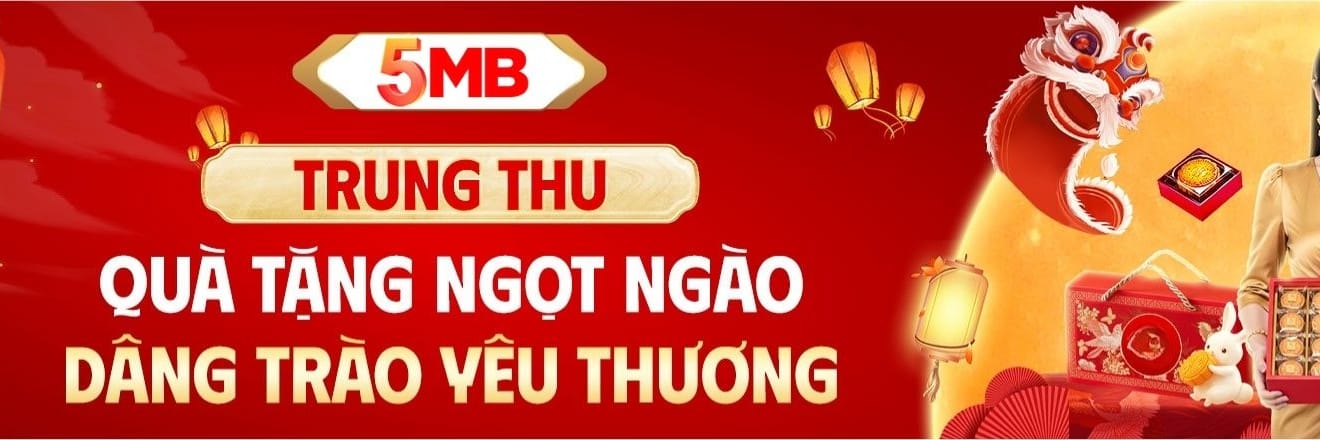 5MB