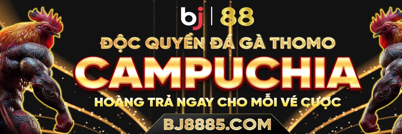 bj8885 com