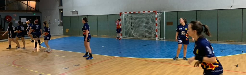 Association Occitane de la Gardonnenque Handball Senior Filles