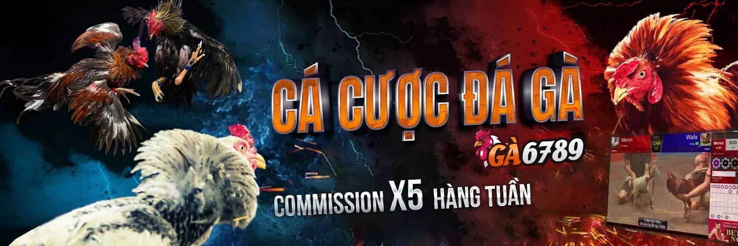 ga6789limited Ga6789