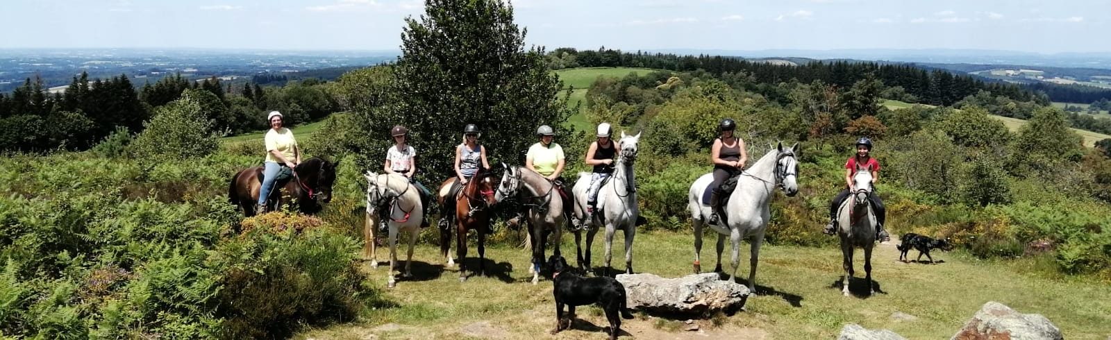 Ferme Equestre des Ribieres