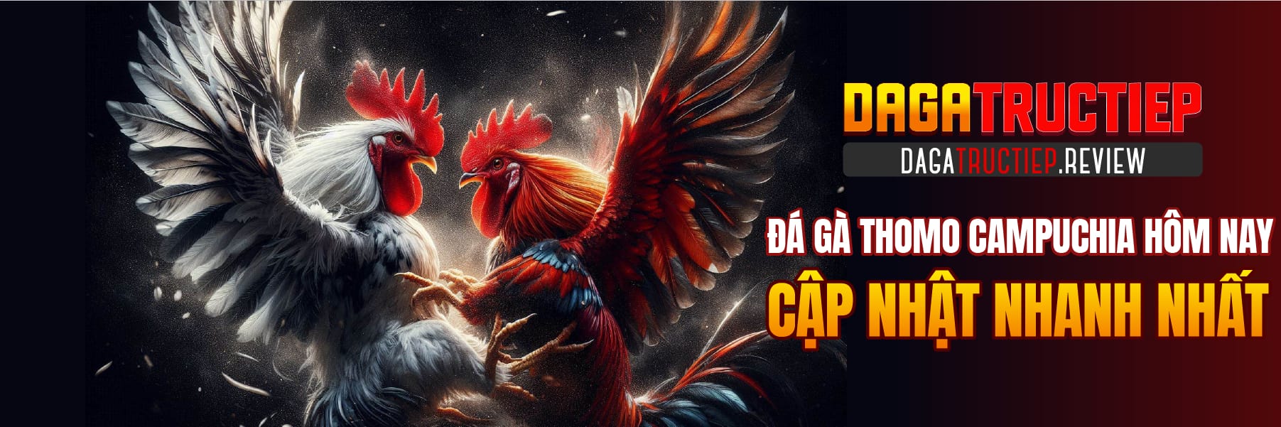 Đá Gà Trực Tiếp