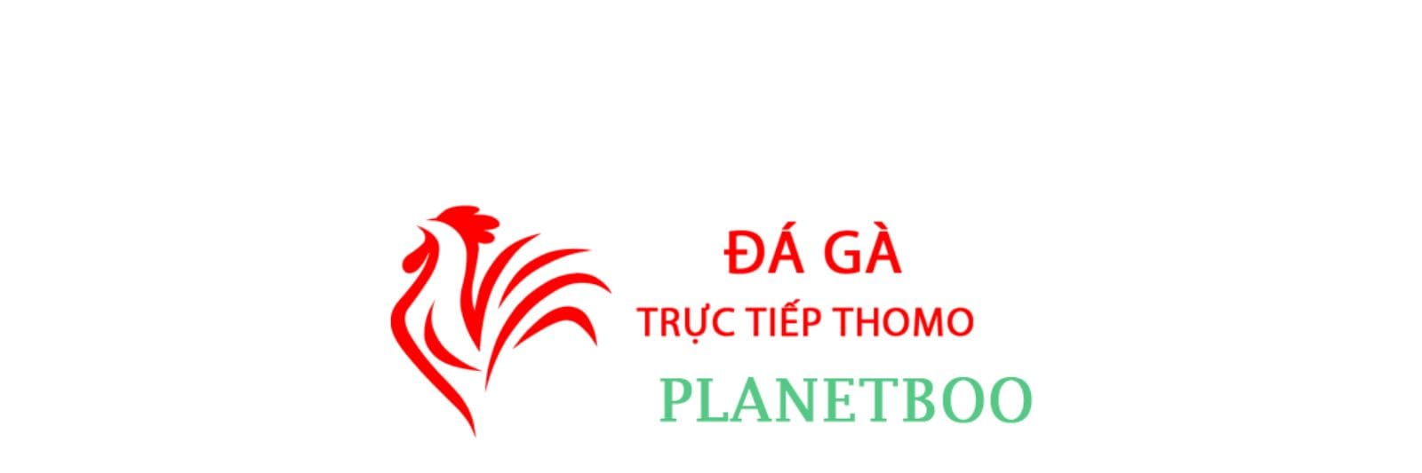 Đá Gà Trực Tiếp Thomo