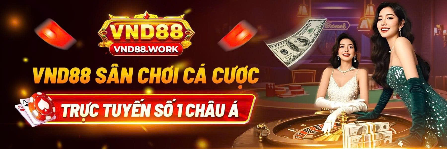 VND88 work