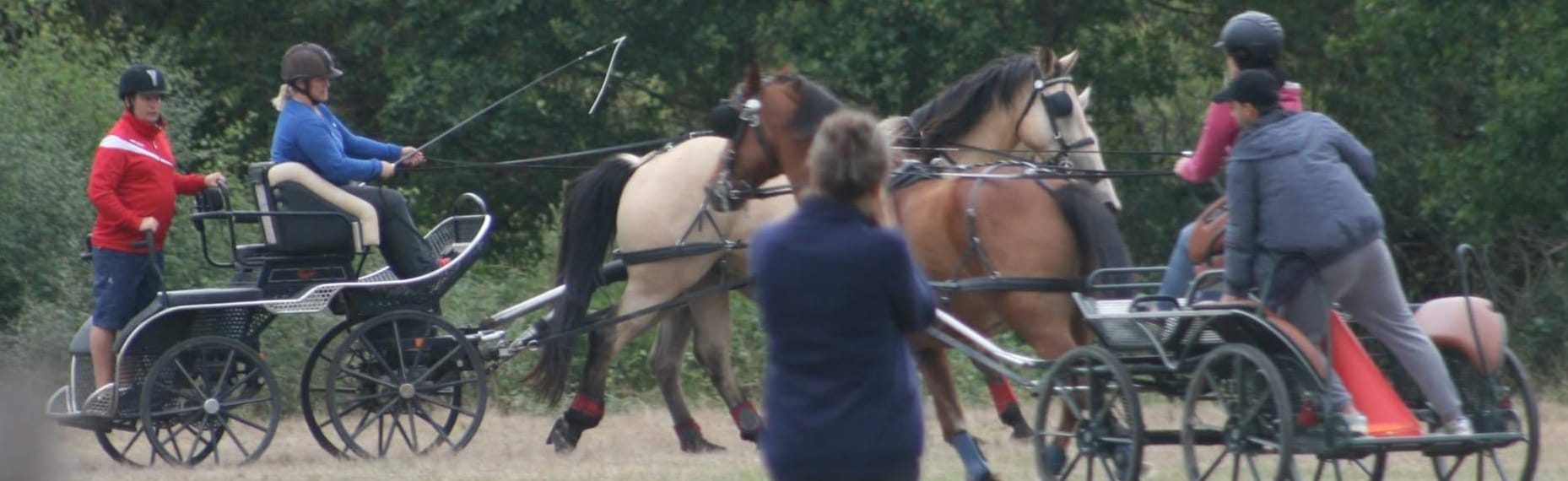 Complices de l'Attelage