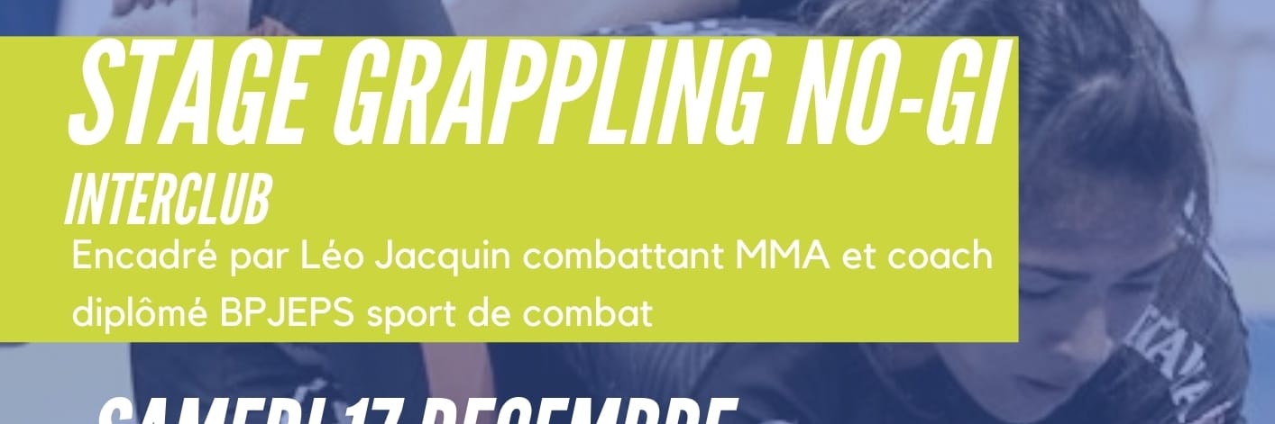 Stage interclub de grappling