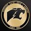 Cougars Masculin Séniors - B Saison 2019