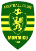 FC Montaigu 85 Division 4 2019-2020