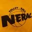Nerac Volley-Ball