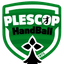 ES Plescop Handball U11 F2