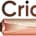 cricket ids