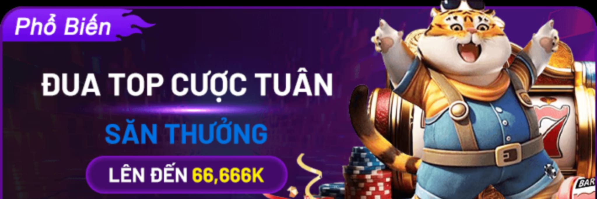 566