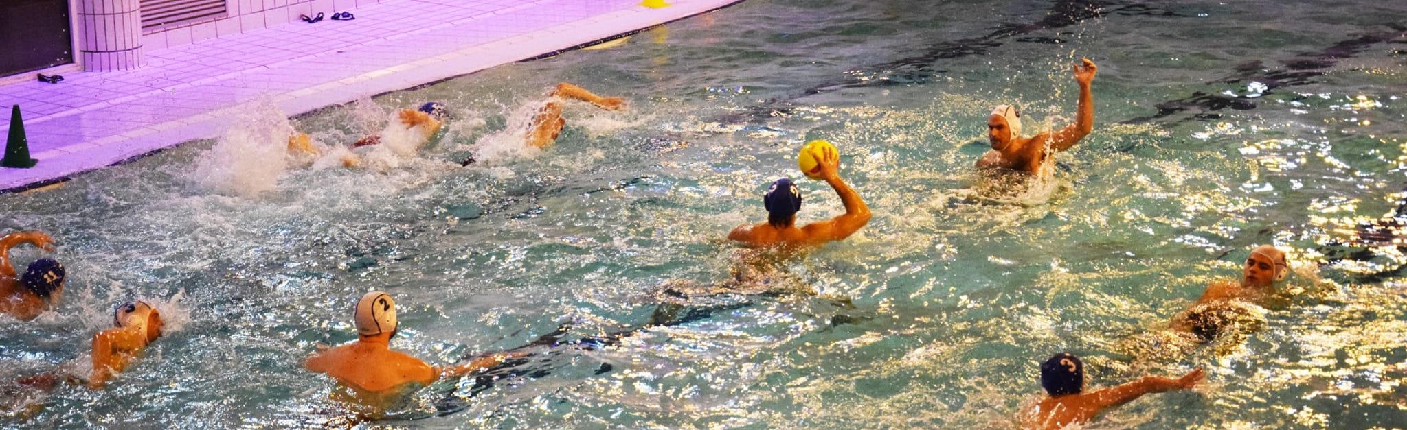 ASSOCIATION DE WATER POLO DU PAYS DE CAUX