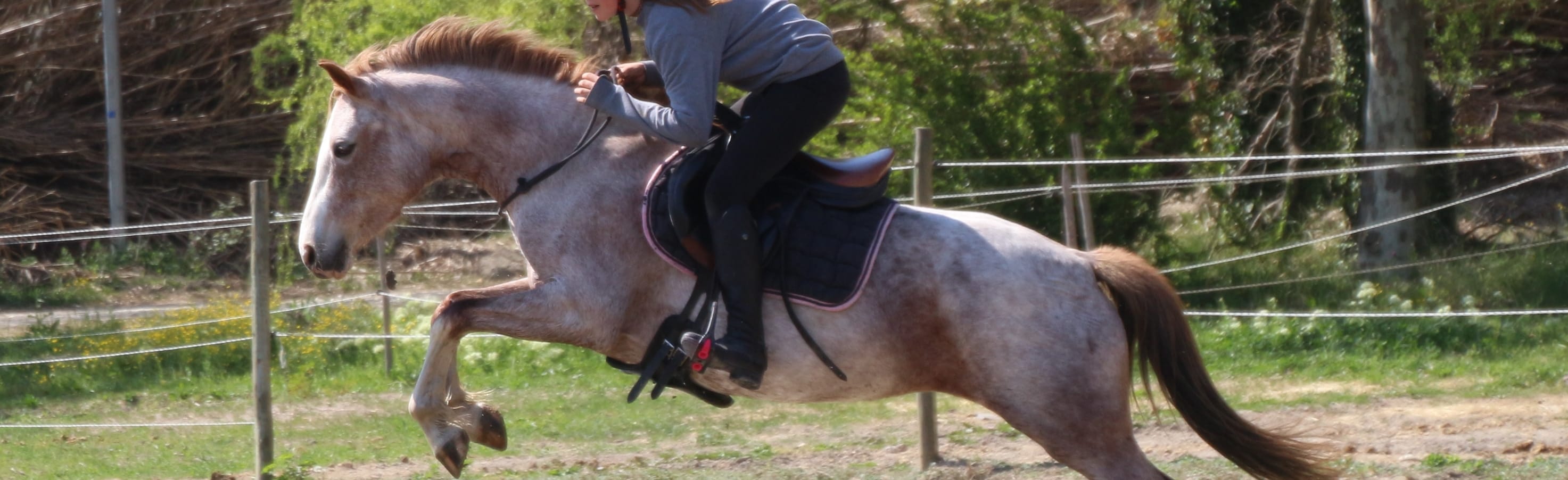 Centre Equestre Cheval et Soleil