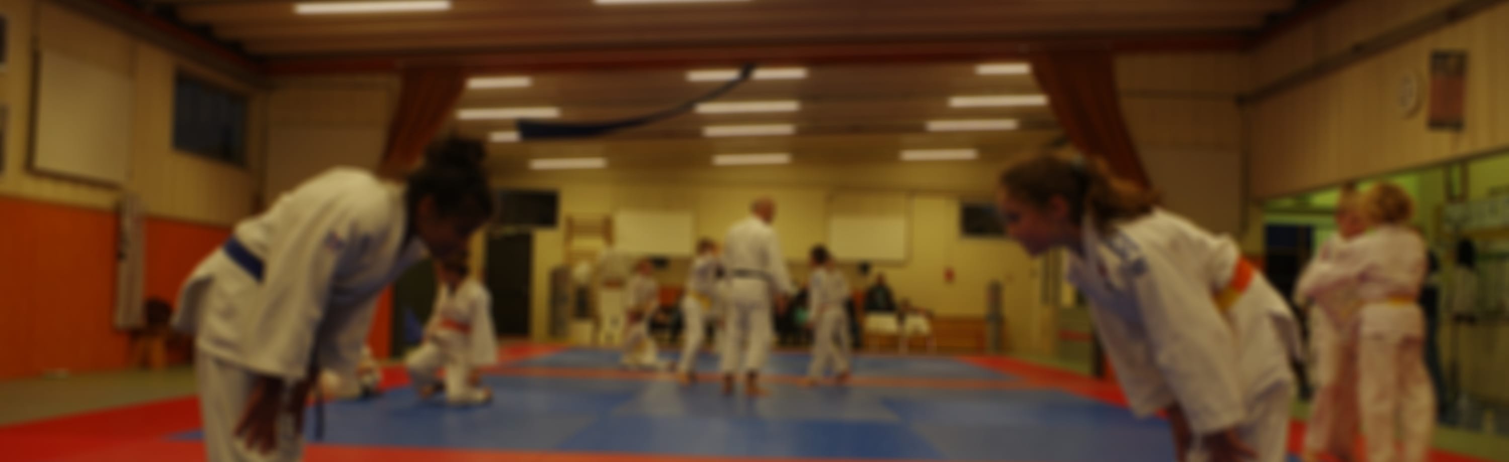 Asv Judo Club Marines