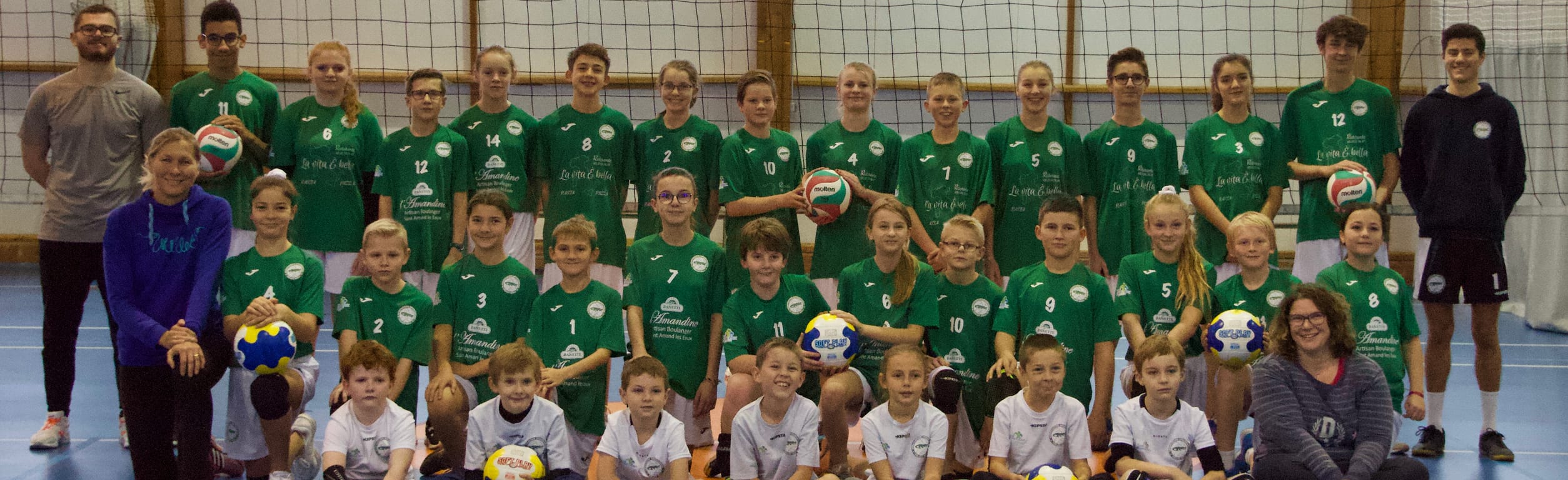 Association Amandinoise De Volley-ball