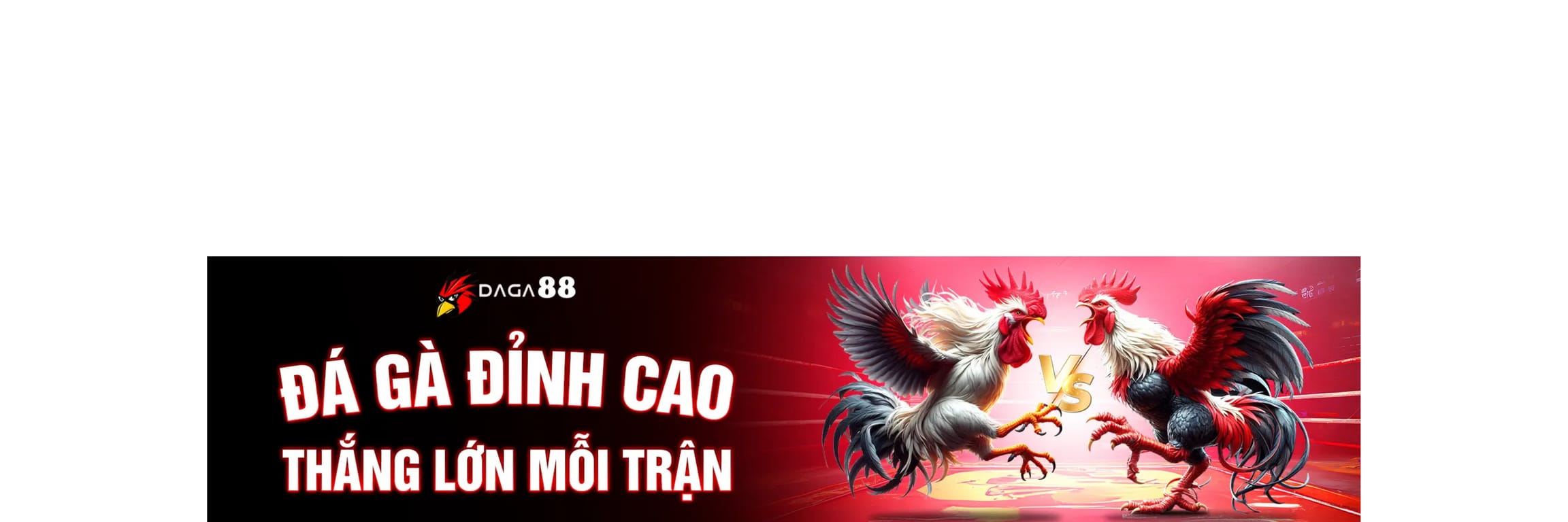 Đá Gà 88 Đá Gà Thomo Full HD - Đá Gà Trực Tiếp Tại DAGA88