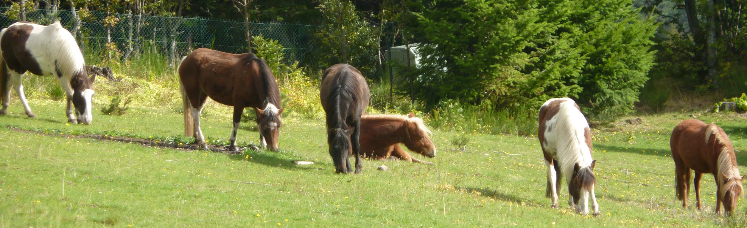 Domaine Fontcouverte