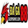 DAGA88  ĐÁ GÀ TRỰC TIẾP THOMO