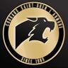 Cougars Mixte D2 Saison 2019
