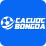 Cá Cược Bóng Đá - Trang cá cược uy tín hiện nay