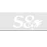 S 8