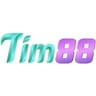 Tim88 asia