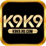 K9k9 ru com