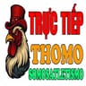 ĐÁ GÀ TRỰC TIẾP  THOMO HÔM NAY 