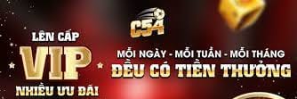 C54