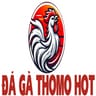ĐÁ GÀ THOMO  HOT