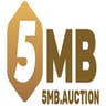 5MB  auction