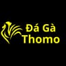 Đá Gà Thomo  Trực Tiếp