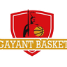 Gayant Basket