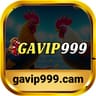 Nhà Cái Gavip999