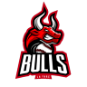 Bulls Baseball Club