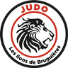 Judo des Lions de Bruguieres