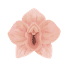 Yoni Massage Therapist