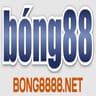 bong8888 net