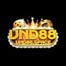 VND88 space