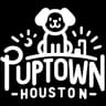 Houston puppy training