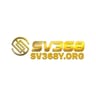 sv368y org