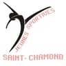 Jeunes Sportives Saint Chamond