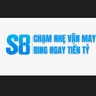 S 8