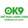 ok9team cn com