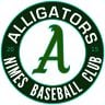 Alligators Nîmes Baseball Club